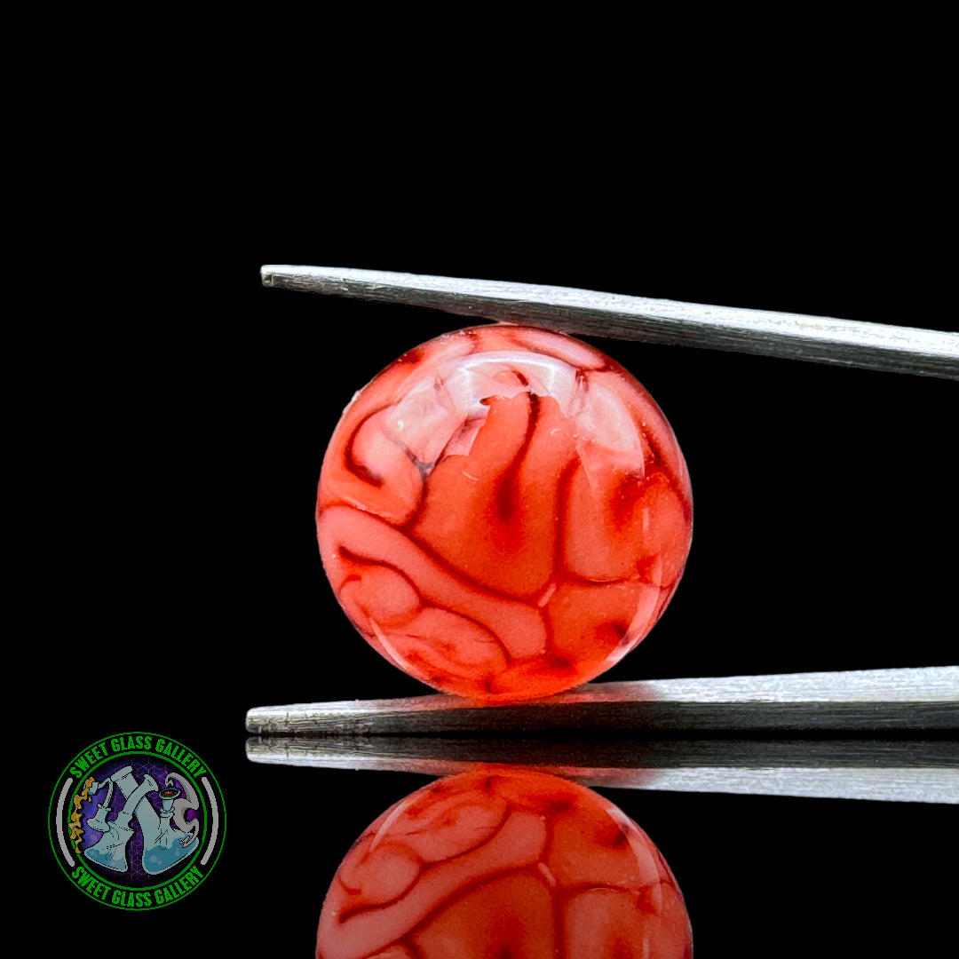 Algae - Brain Tech Guard Marble 11mm (Red)