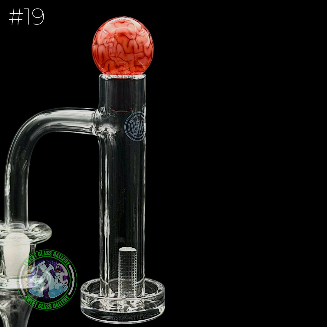 Algae - Control Tower Cap #19 - Brain Tech Red