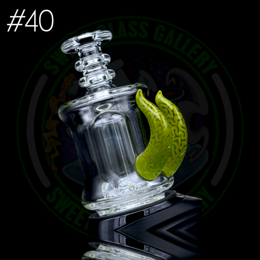 Algae - Peak Attachment #40