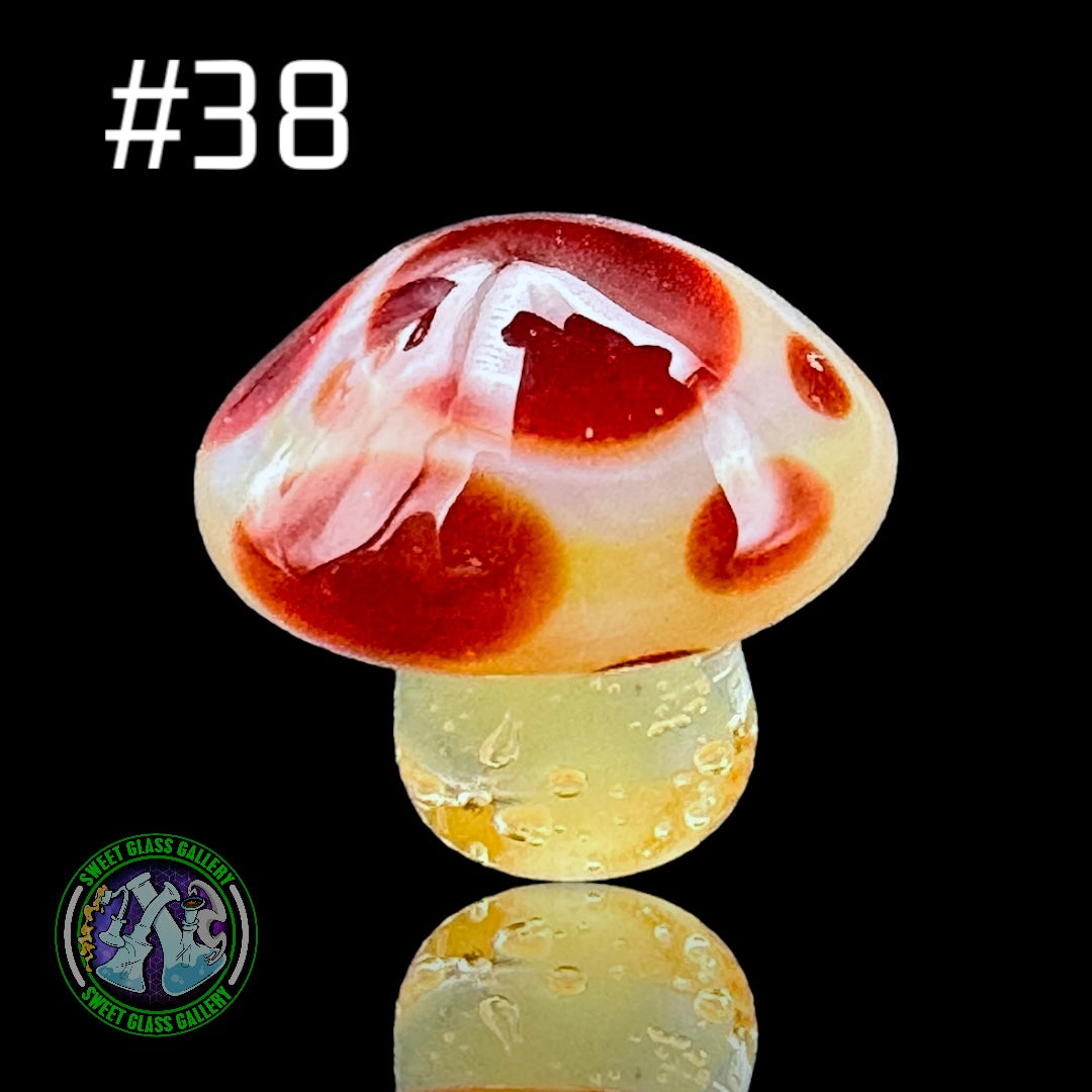 YBOT - Mushroom Terp Pearl #38