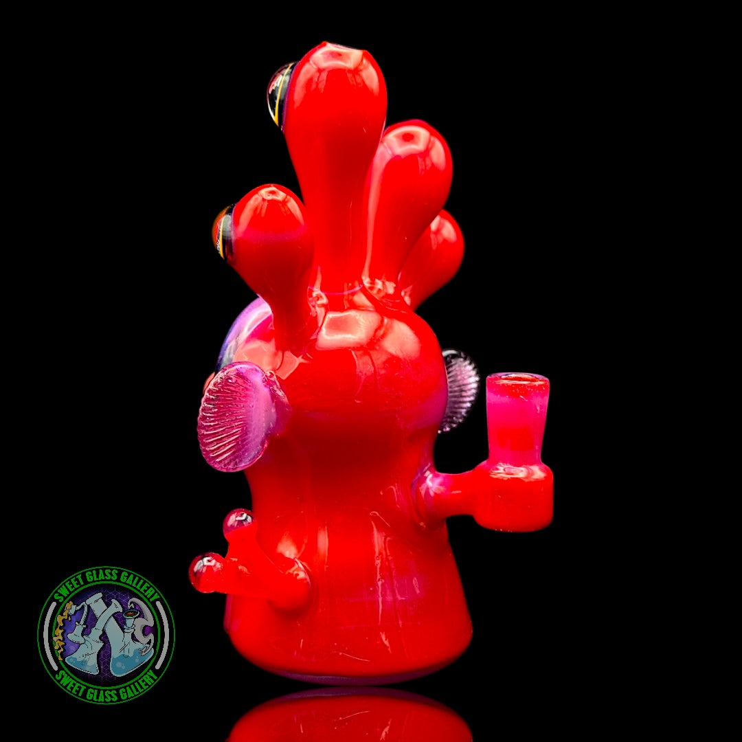 Joe P - Rig #1