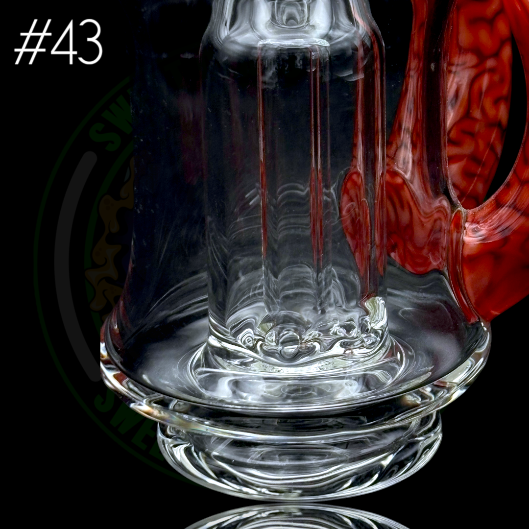 Algae - Peak Attachment #43