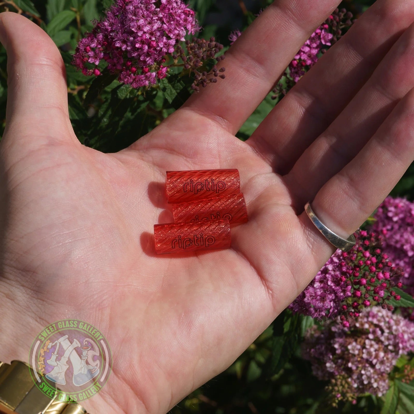 Gordo Scientific Riptip - Crimson Jelly