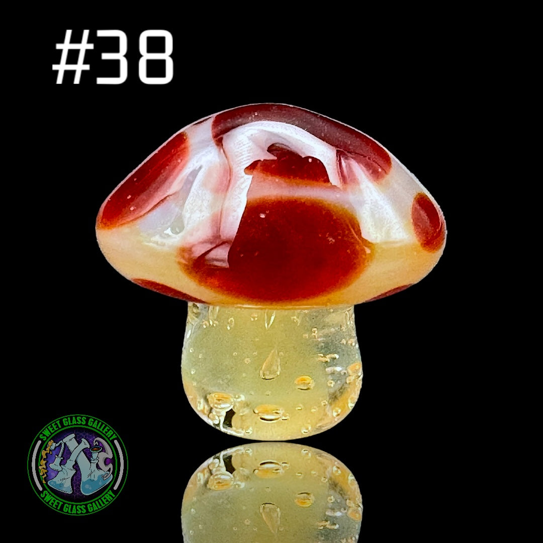 YBOT - Mushroom Terp Pearl #38