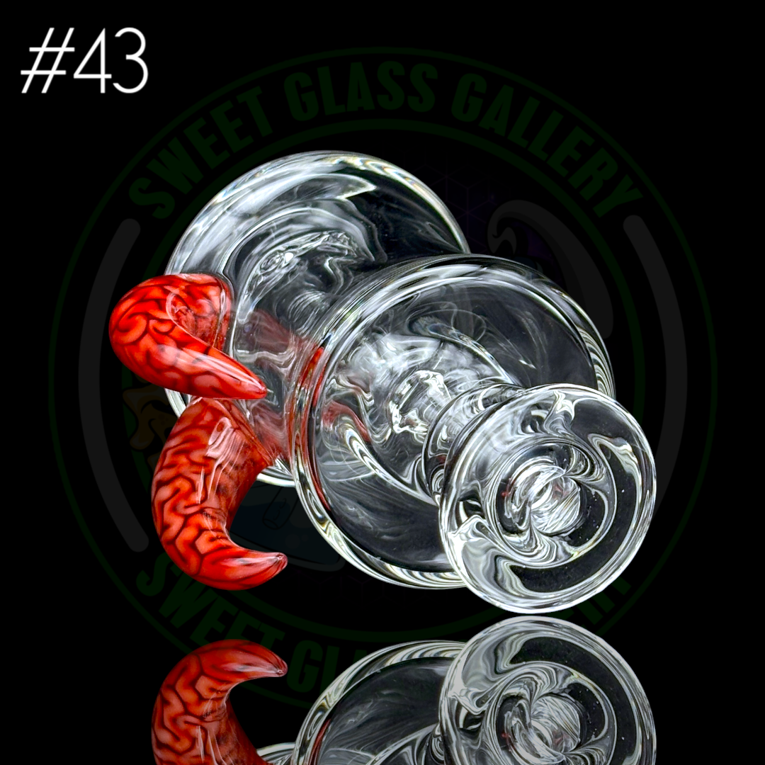 Algae - Peak Attachment #43