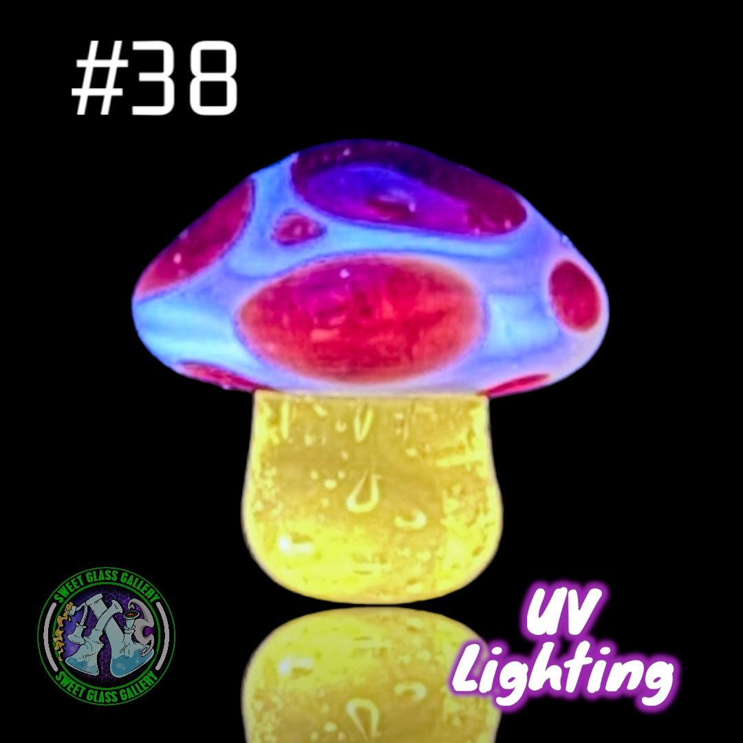 YBOT - Mushroom Terp Pearl #38