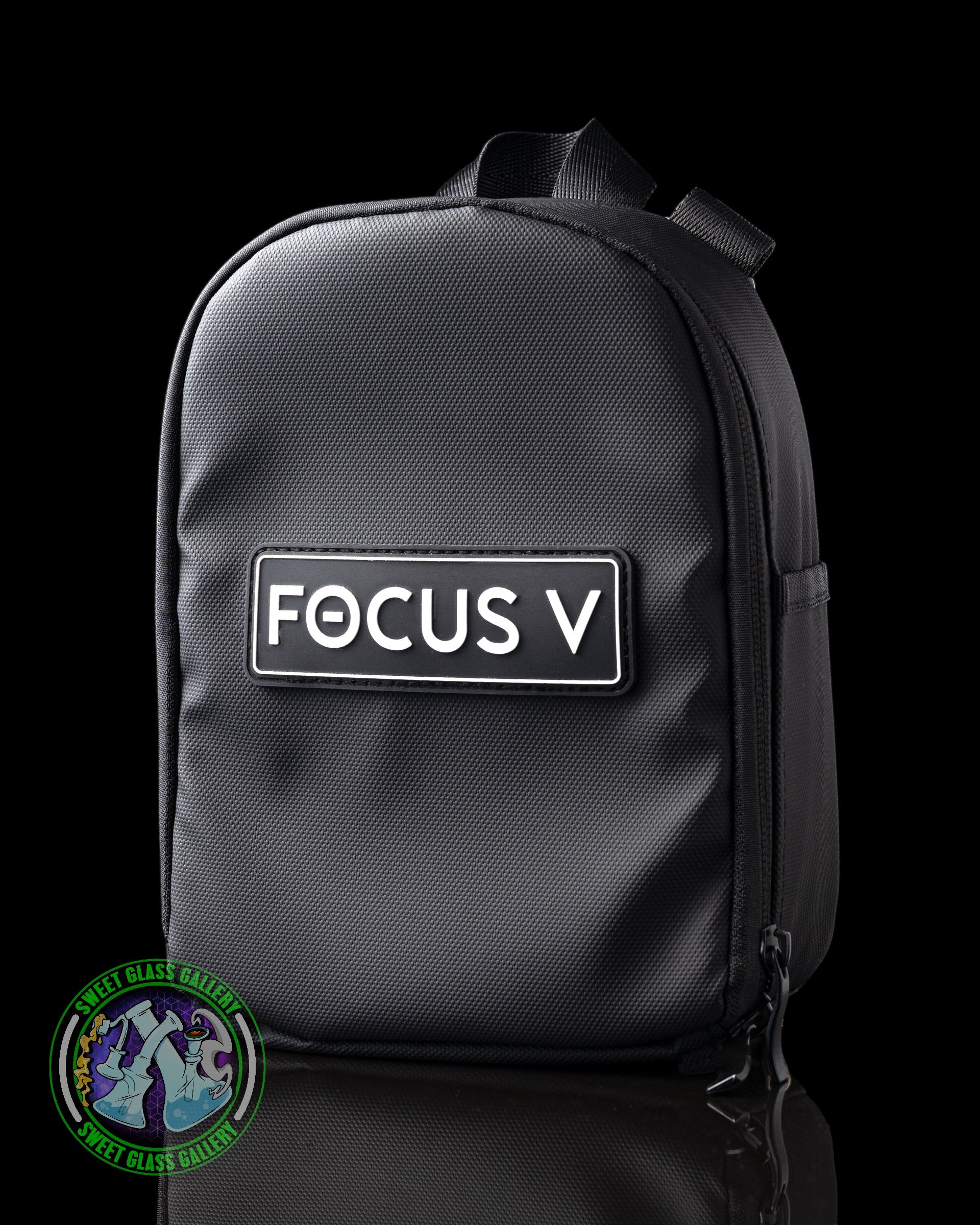 Focus V - Carta Sport E-Rig