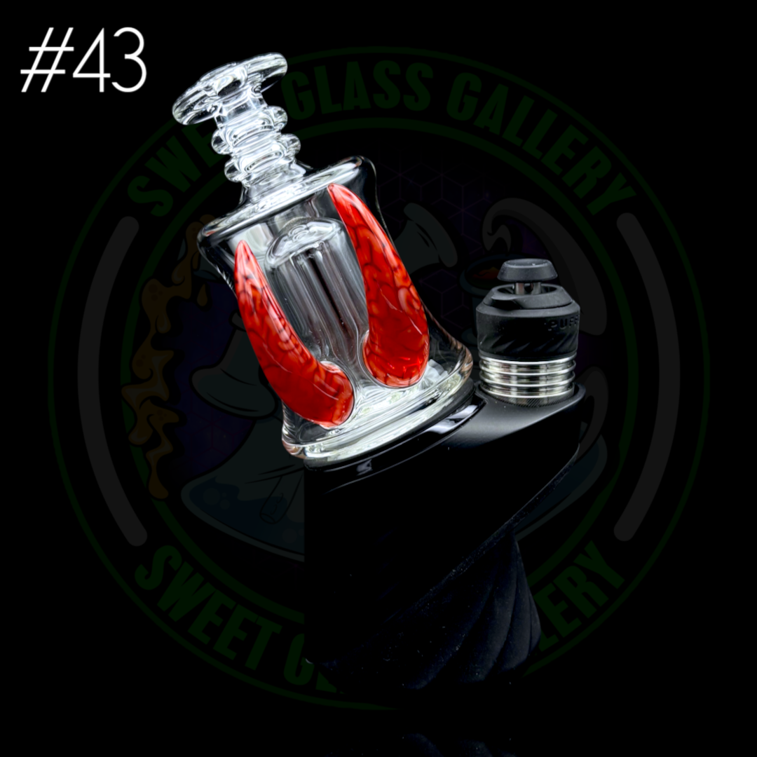 Algae - Peak Attachment #43