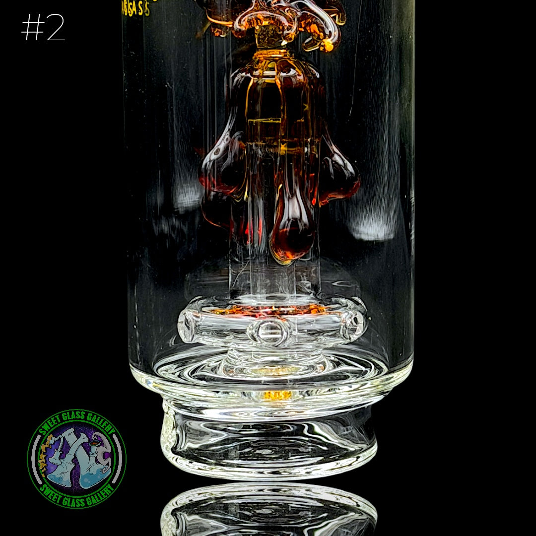 Toxic Glass - Focus V Carta Attachment #2 - Honey Bee