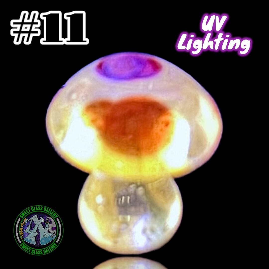 YBOT - Mushroom Terp Pearl #11