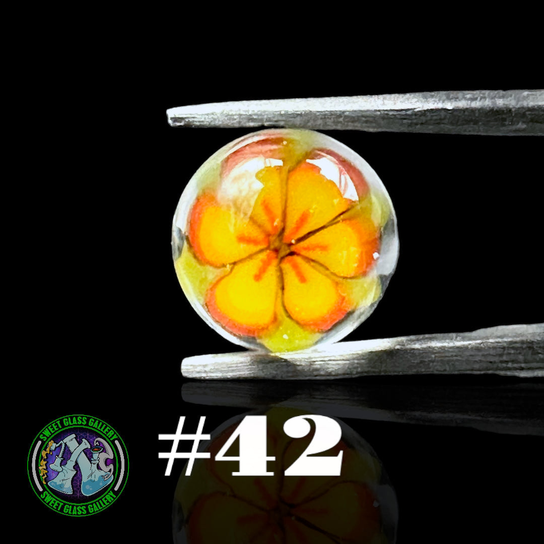 Steve Hulsebos Glass - Milli Terp Pearl 6mm #42 (Flower)