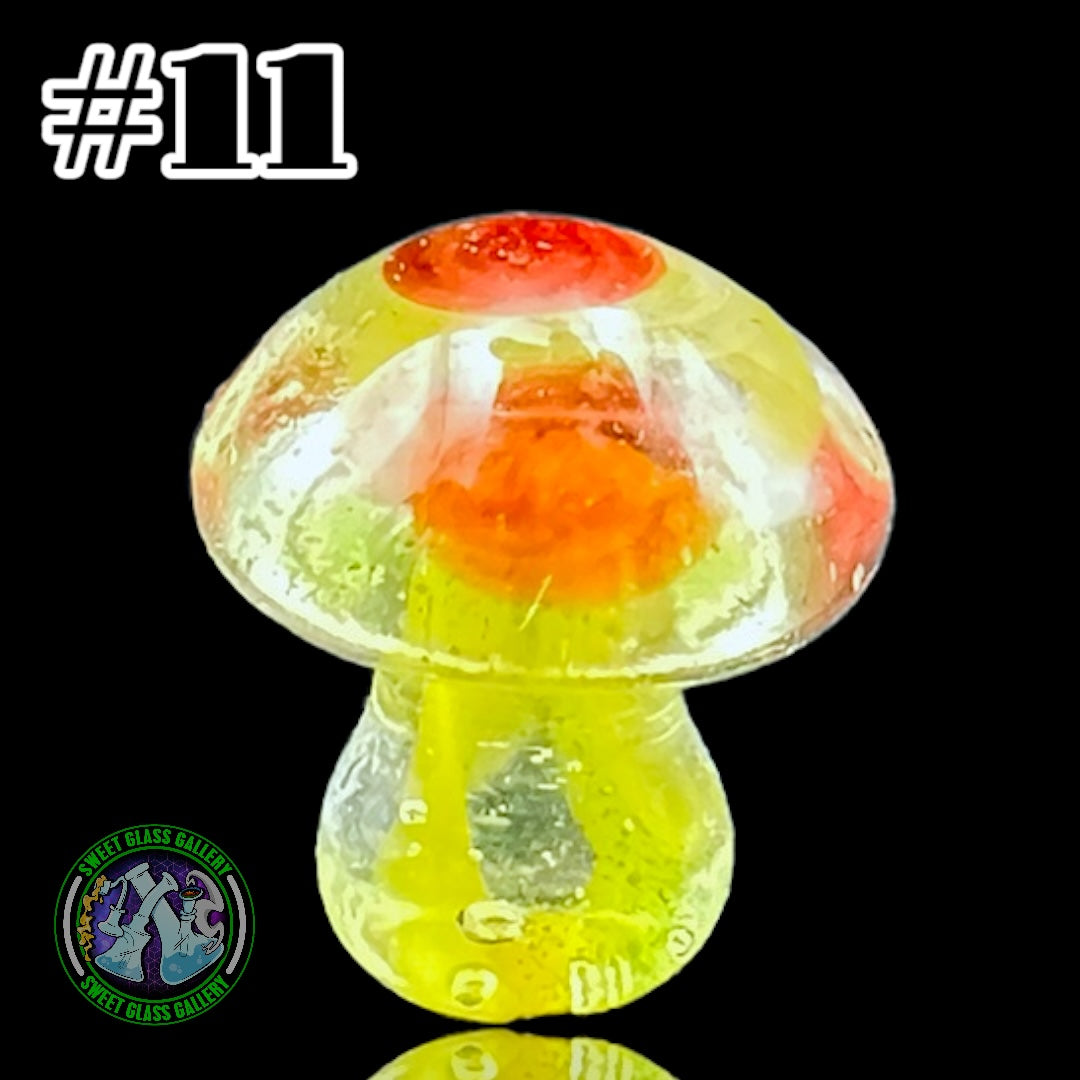 YBOT - Terp Pearl #11 - Mushroom