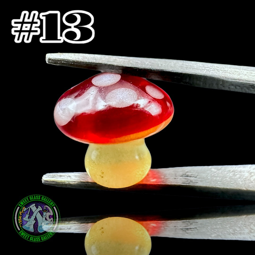 YBOT - Mushroom Terp Pearl #13