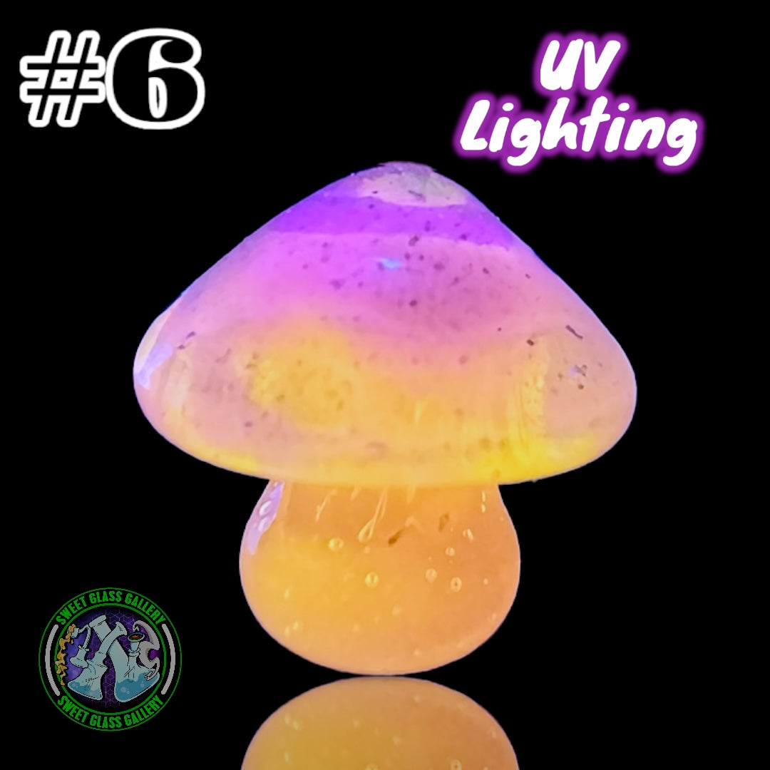 YBOT - Mushroom Terp Pearl #6