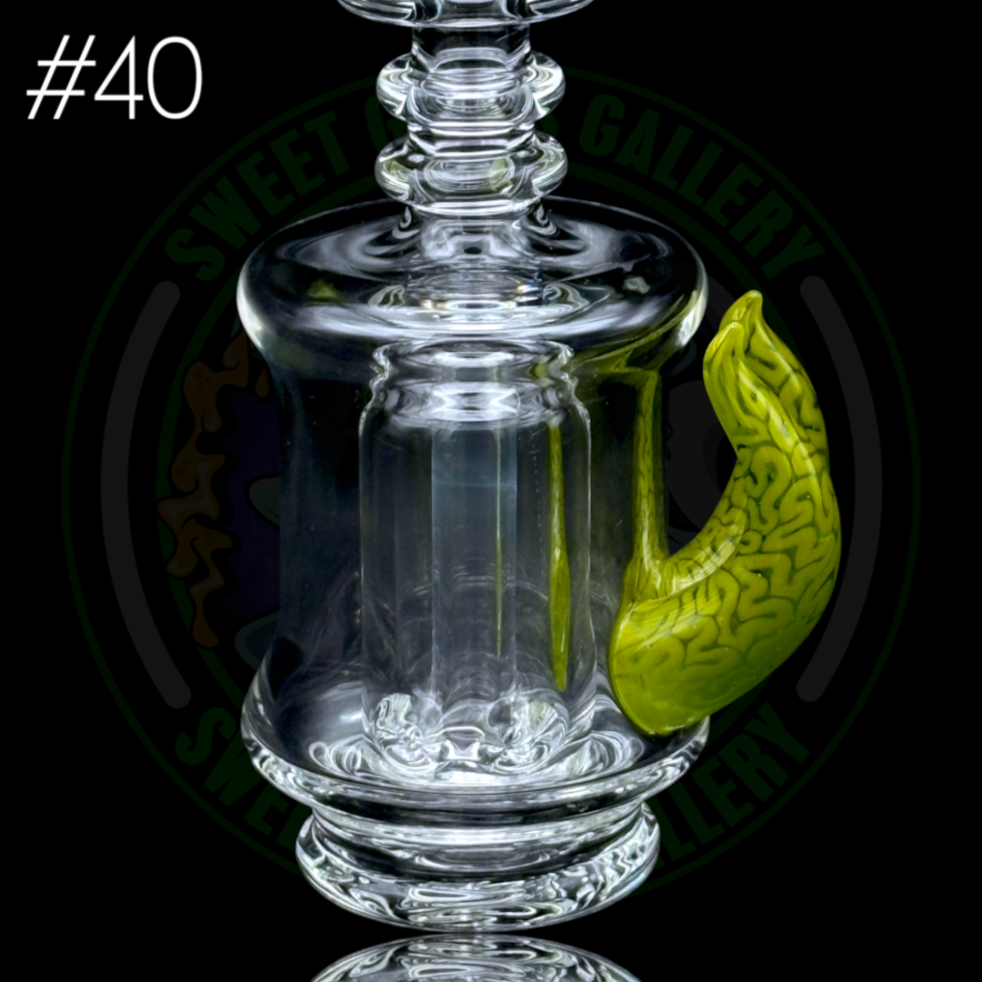 Algae - Peak Attachment #40