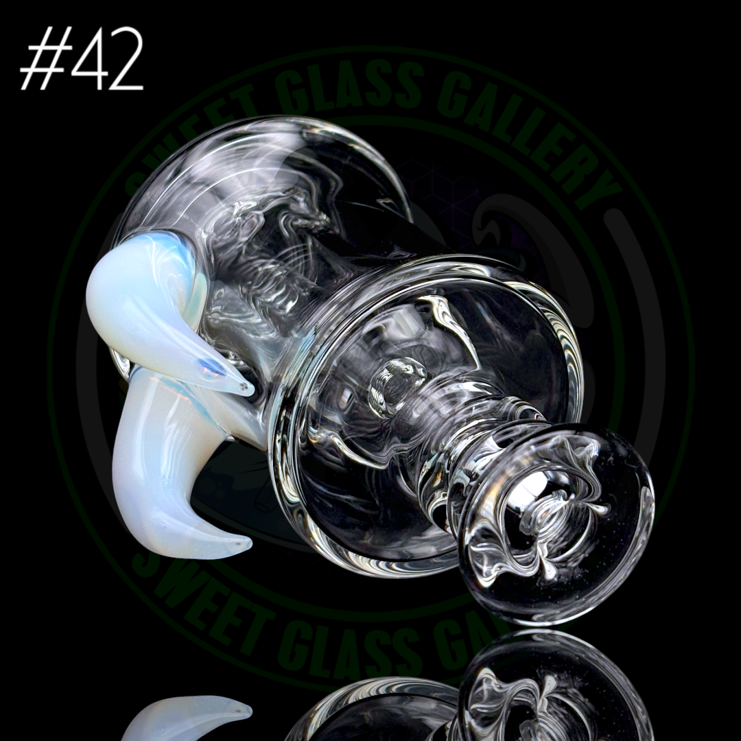 Algae - Peak Attachment #42