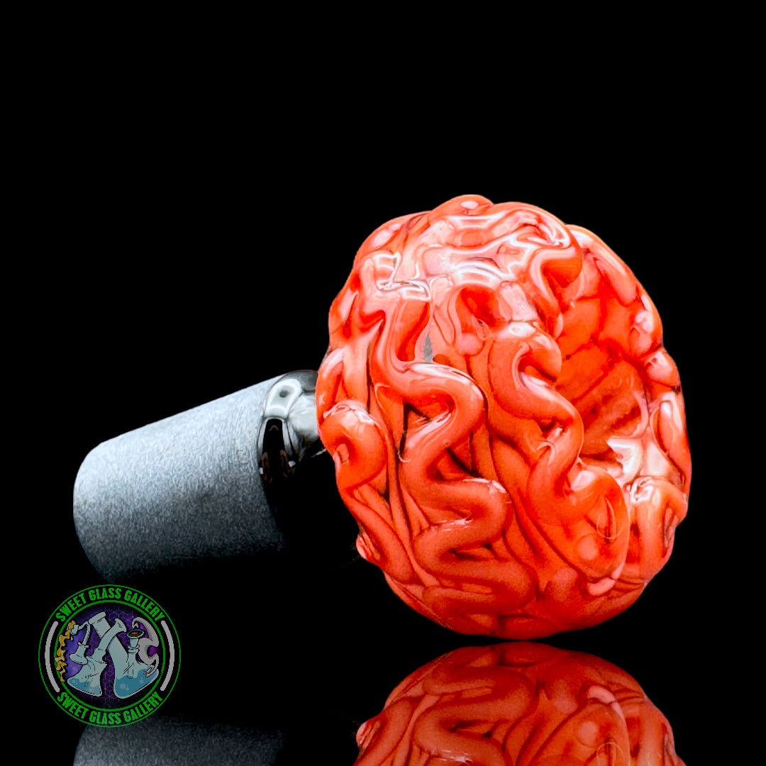 Algae - Bowl - Sculpted Brain (18mm)